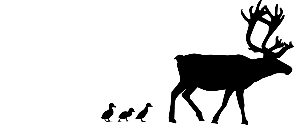 Laget av meg, basert på frie bilder fra Pixabay.